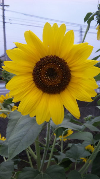 100706_092908.jpg